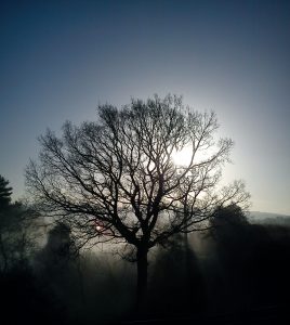morning4