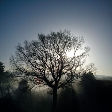 Autumnal Morning!