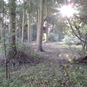 Fab Field Project
