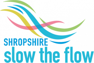 Slow the flow logo
